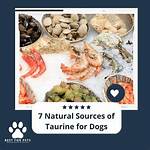 7 Natural Sources of Taurine for Dogs (& How Much They Need Daily)