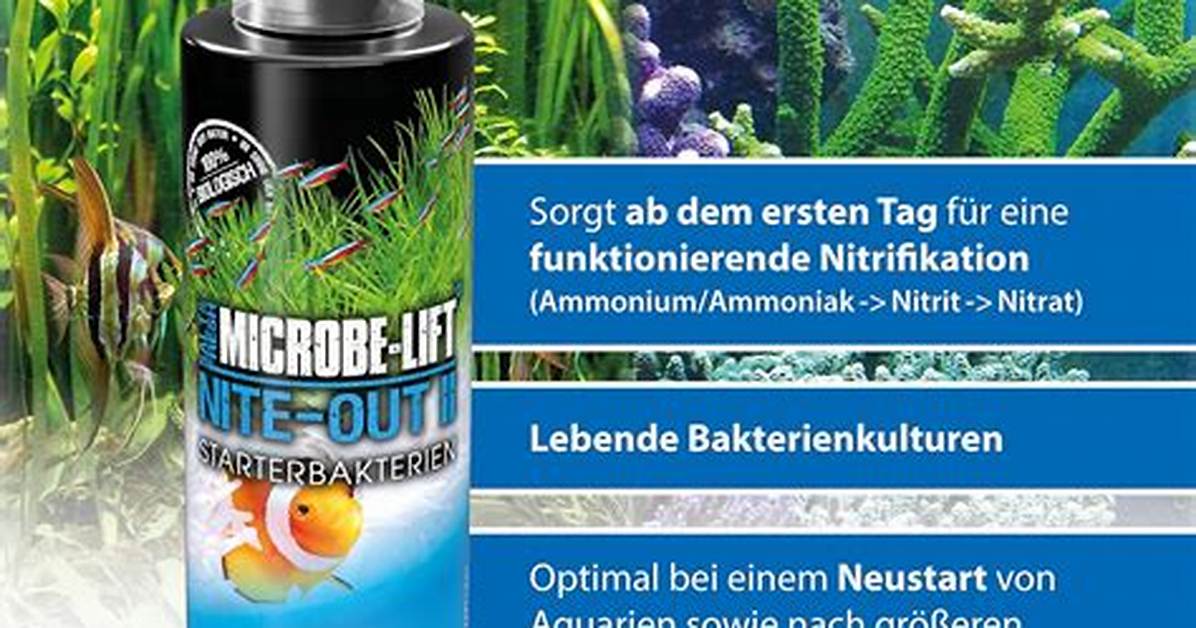 8 Best Aquarium Bacteria Starters [Reviews 2024 ]