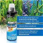 8 Best Aquarium Bacteria Starters [Reviews 2024 ]