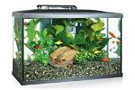 8 Best Betta Fish Tanks in 2024 - Reviews & Top Picks