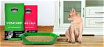 8 Best Budget Cat Litters in 2024 - Reviews & Top Picks