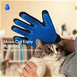 8 Best Cat Grooming Gloves in 2024 - Reviews & Top Picks