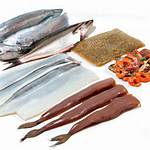 8 Best Saltwater Fish Foods of 2024 - Reviews and Top Picks
