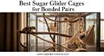 8 Best Sugar Glider Cages in 2024 - Reviews & Top Picks