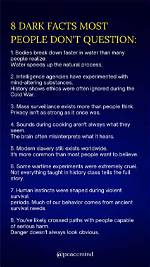 8 in the Dark Facts for Fans of the Cw Drama Series