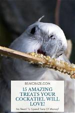 8 Treats Your Cockatiel Will Love (Online & Diy)