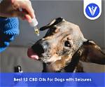 9 Best Cbd Oils for Dogs with Arthritis in 2024 - Reviews & Top Picks