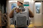 9 Best Dog Backpack Carriers in 2024 - Reviews & Top Picks