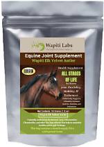 9 Best Joint Supplements for Horses 2024 - Reviews & Top Picks