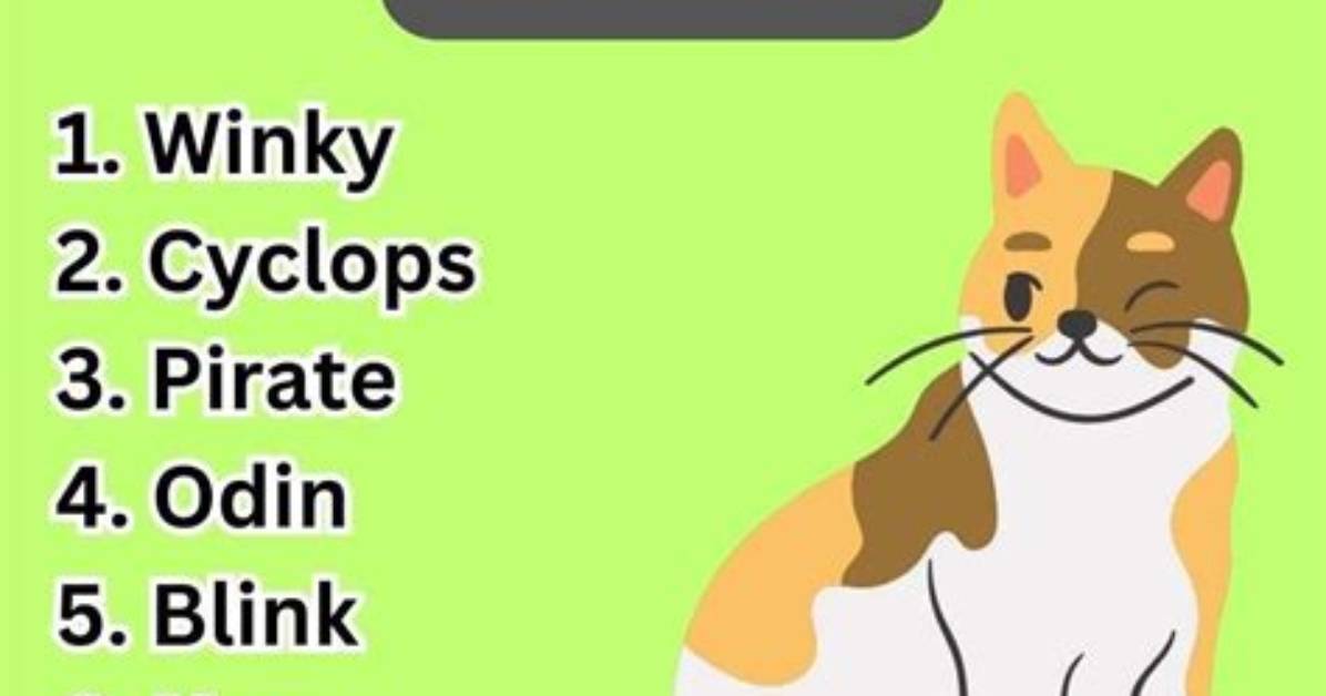 90+ One Eyed Cat Names: Unique Options for Your Brave Pet | Pangovet