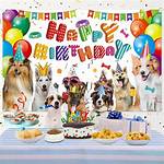A Doggy Birthday: Happy 13Th Birthday to Our Diesel!