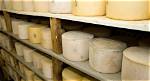 A Fancy Cheese Retailer Had Its Products Recalled Just Before Christmas Because They Might Contain E. Coli