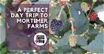 A Perfect Day Trip to Mortimer Farms