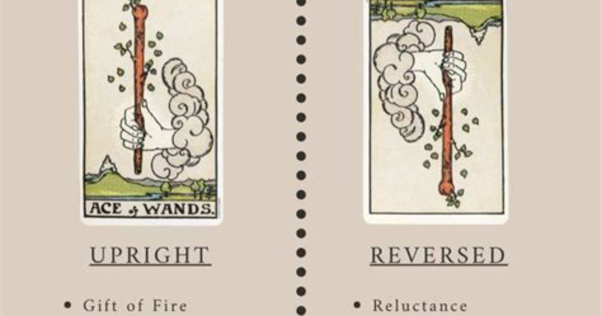 Ace of Wands Tarot Card Meaning