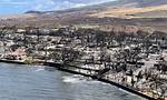 After Lahaina Fire, There’s a Chance to Restore Ulu Trees | News, Sports, Jobs