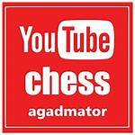 Agadmator's Chess Channel Net Worth, Income and Estimated Earnings of Youtuber Channel