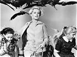 Alfred Hitchcock - Movies, Birds & Psycho