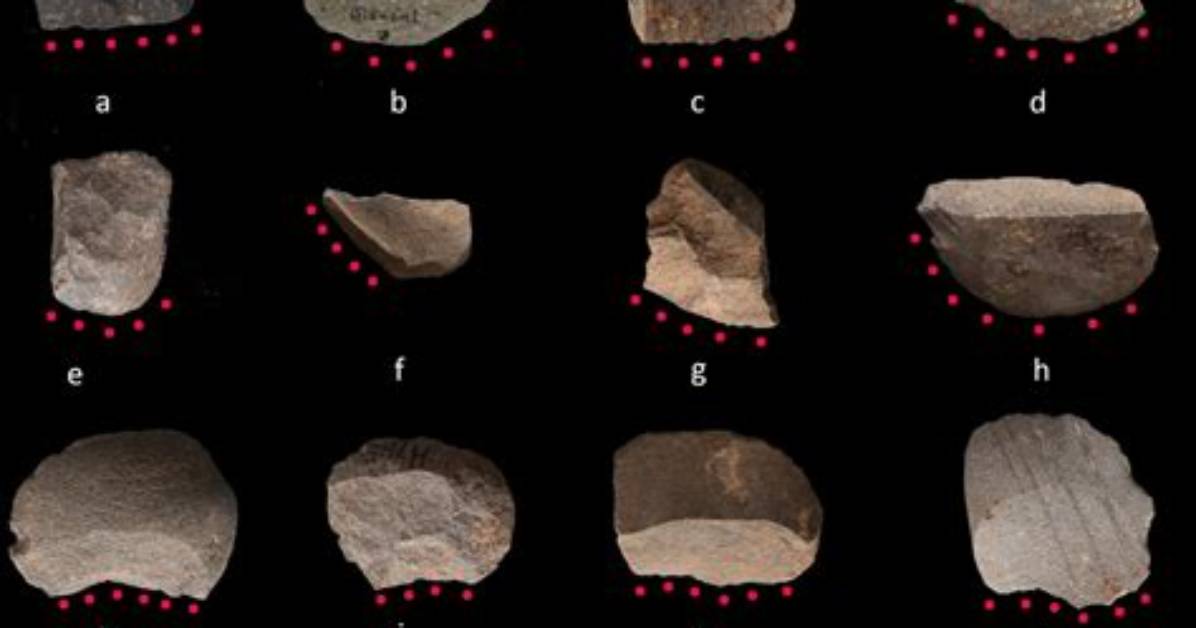 Ancient Tools Provide Earliest Evidence of Rice Harvesting