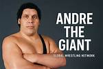 Andre the Giant Networth 2022, Earnings, Endorsements