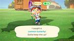 Animal Crossing New Horizons Bug off Tourney - Trophies, Prizes, and Rewards