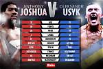 Anthony Joshua vs Oleksandr Usyk Fight Date, Time, Ppv Price, Odds & Location, How & Where to Watch Live Stream?