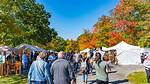Apple Cider Festival | Macaroni Kid Youngstown