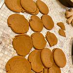 Are Ginger Snaps Good for You? the Ultimate Guide to Decoding the Nutritional Secrets of This Delectable Treat