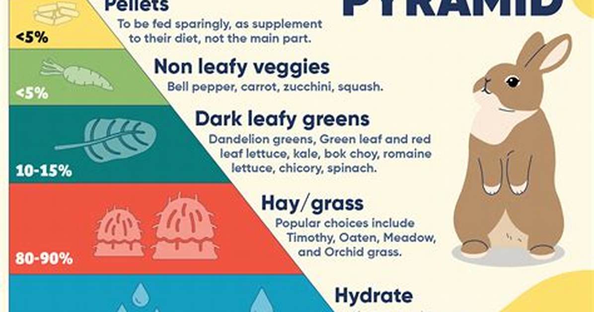 Are Rabbits Herbivores? Diet & Health Facts