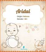 Aridai Meaning in English, Aridai Baby Name Origin Gender Meaning Pronunciation