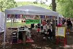 Arts and Crafts Festival @ Hungry Mother State Park 10:00Am