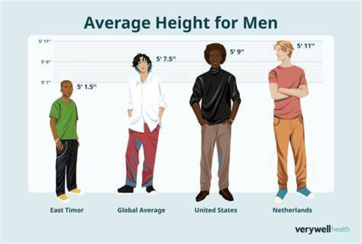 Average Height of Females: Understanding the Global Variations and Influencing Factors