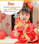Bao Meaning in English, Bao Baby Name Origin Gender Meaning Pronunciation
