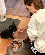 Barbara Dunkelman Pets - Celebrity Pets