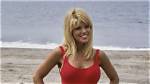 Baywatch's Donna D'errico in Bathing Suit Makes 54 Look Like 34 — Celebwell