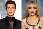 Bella Thorne & Shawn Mendes Dating, Rumors After Gregg Sulkin Split