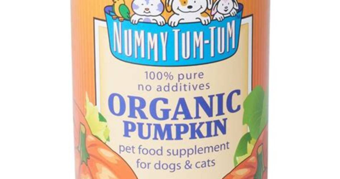 Best Canned Pumpkin for Dogs: Our Top 6 Picks in 2024