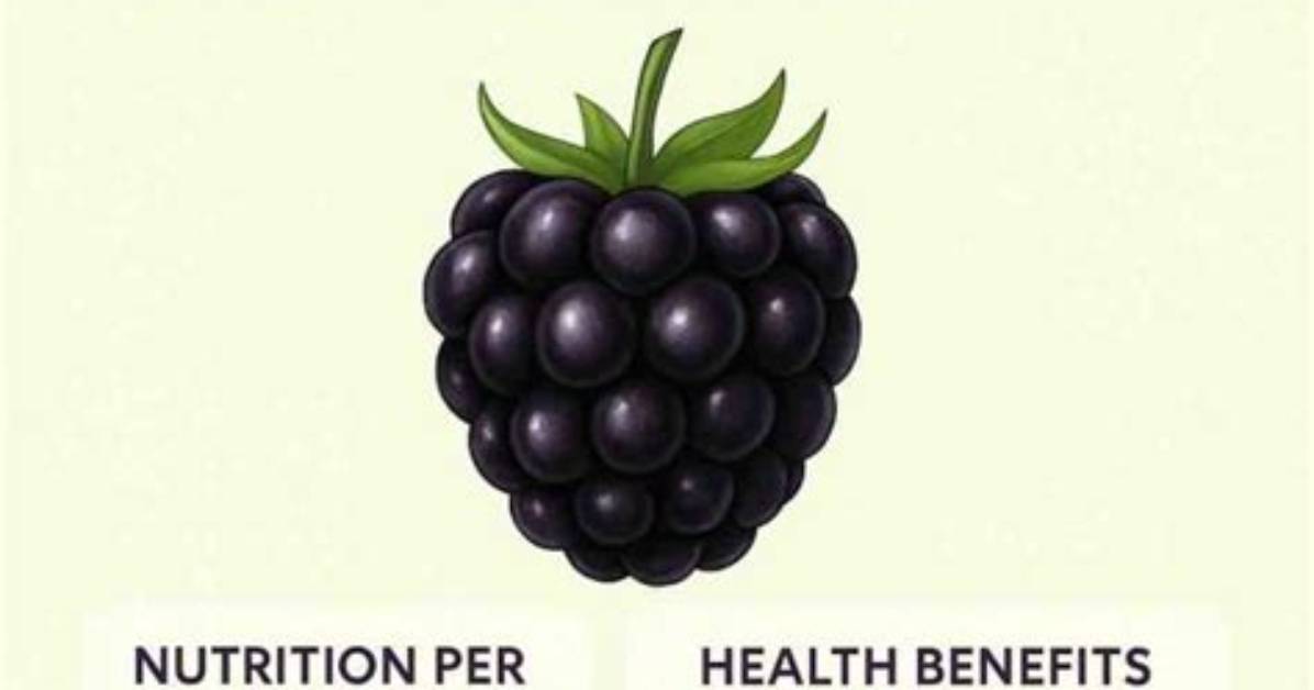 Blackberry Glycemic Index: Nutrition Facts, Weight Loss, Health Benefits