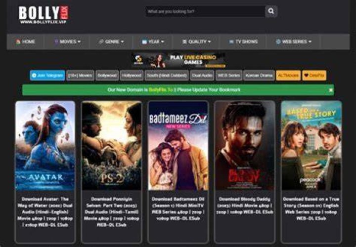 Bollyflix Guide: Your Ultimate Guide to Hindi Movies & More | Stay Updated