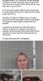 Bridgette Watkins Arrested and Charges: Jail or Prison