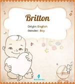 Britton Meaning in English, Britton Baby Name Origin Gender Meaning Pronunciation