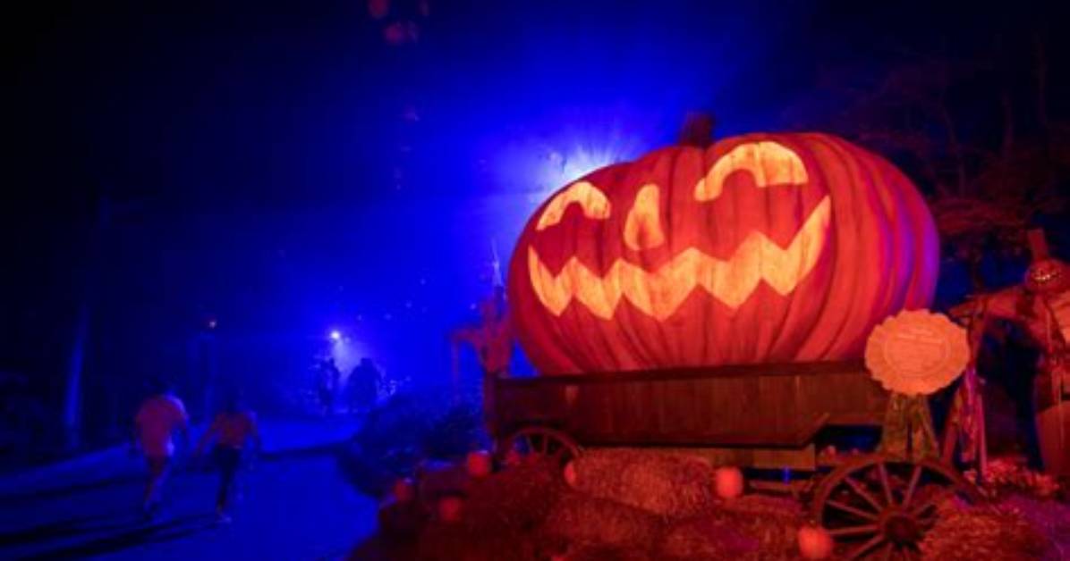 Busch Gardens Williamsburg Howl-O-Scream & Halloween Spooktacular