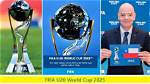Businesses Affected by U-20 World Cup Host Repeal