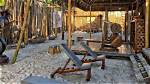 Buzz: Tulum Jungle Gym, El Gimnasio Convertido En Paraíso