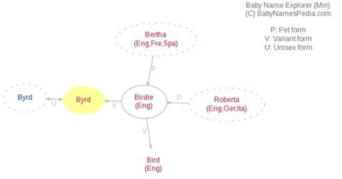 Byrd Meaning in English, Byrd Baby Name Origin Gender Meaning Pronunciation