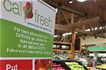 Calfresh Status: What Can You Do in Case Your Application Is Denied?