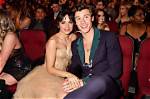 Camila Cabello's Dating History: Shawn Mendes and More
