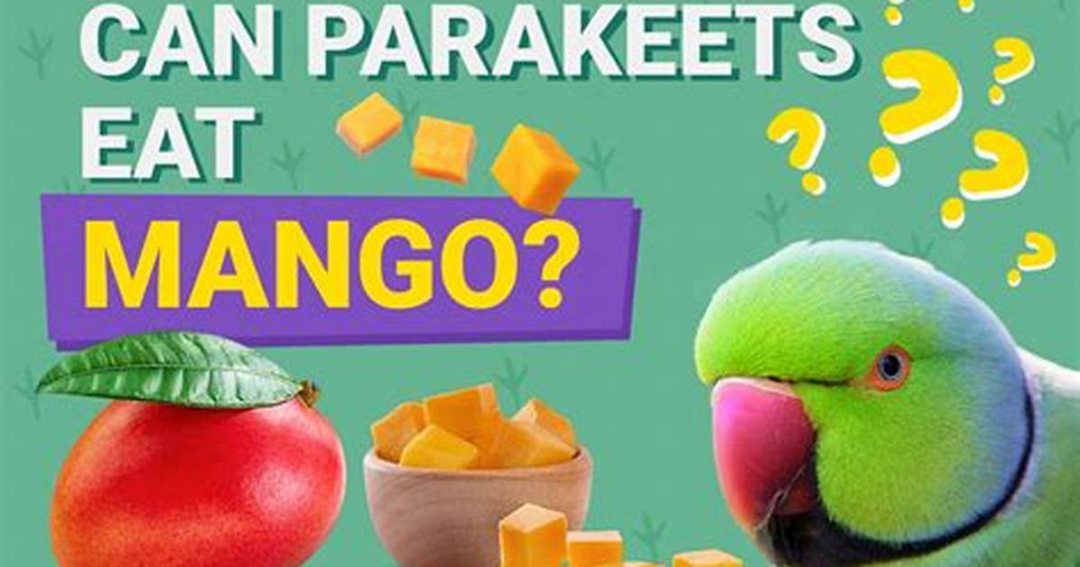 Can Parakeets Eat Mango? Vet Reviewed Facts & Info You Need to Know