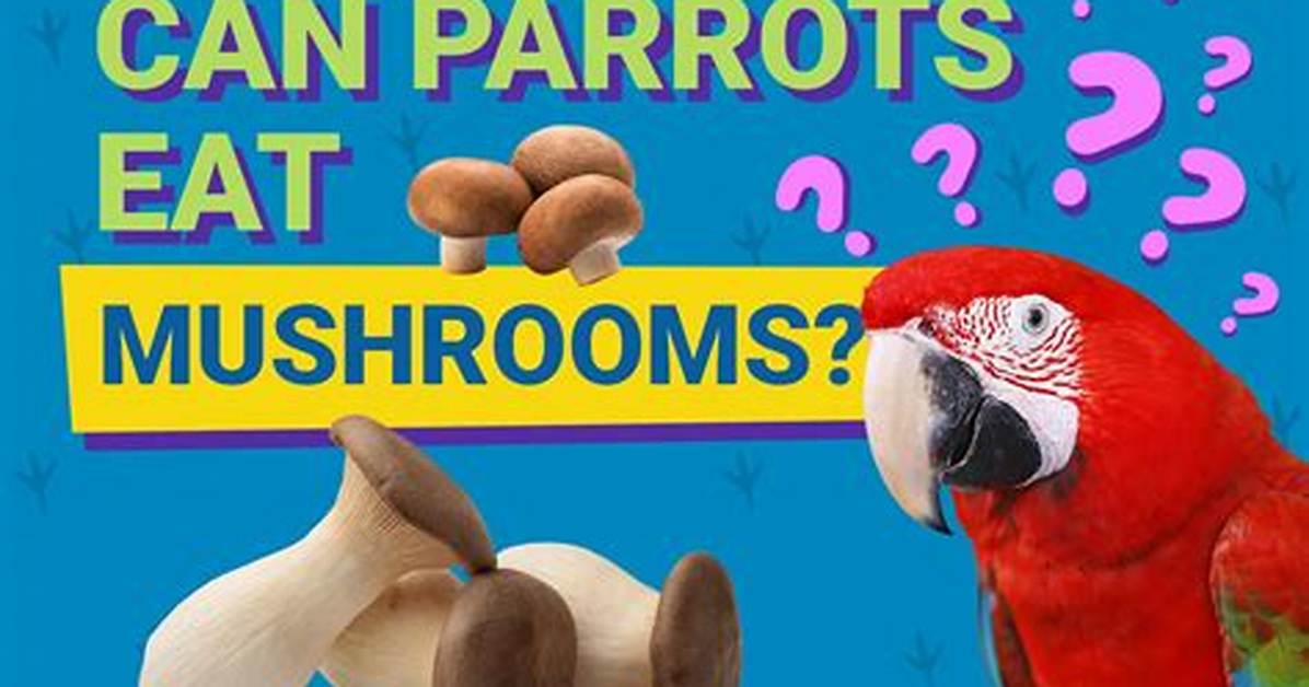 Can Parrots Eat Mushrooms? Vet-Reviewed Explanation, Precautions & Alternatives