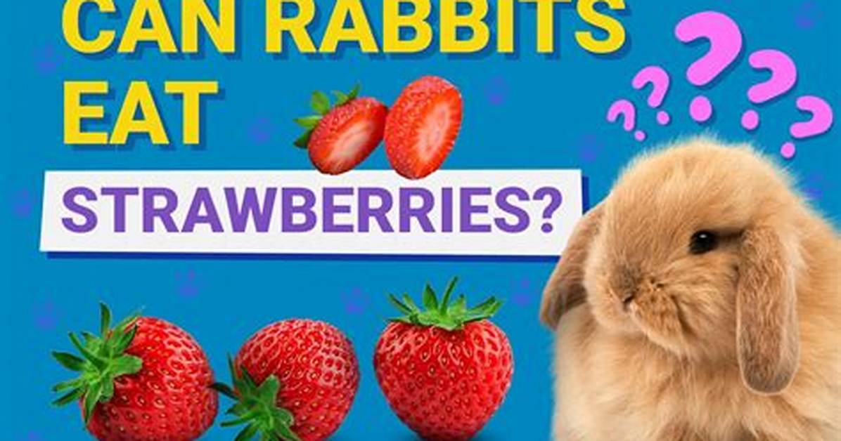Can Rabbits Eat Strawberries? Vet-Verified Nutrition Facts & Faq | Pangovet