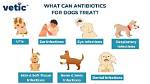 Can You Switch Antibiotics in the Middle of a Course